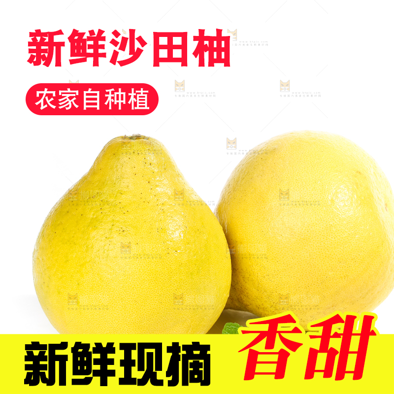 白底上的沙田柚