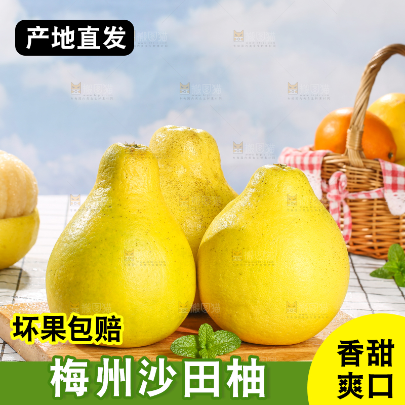 浅底上的沙田柚