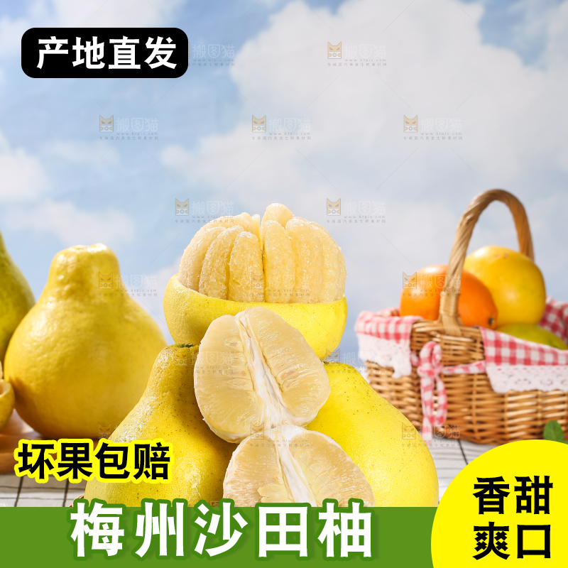 浅底上的沙田柚