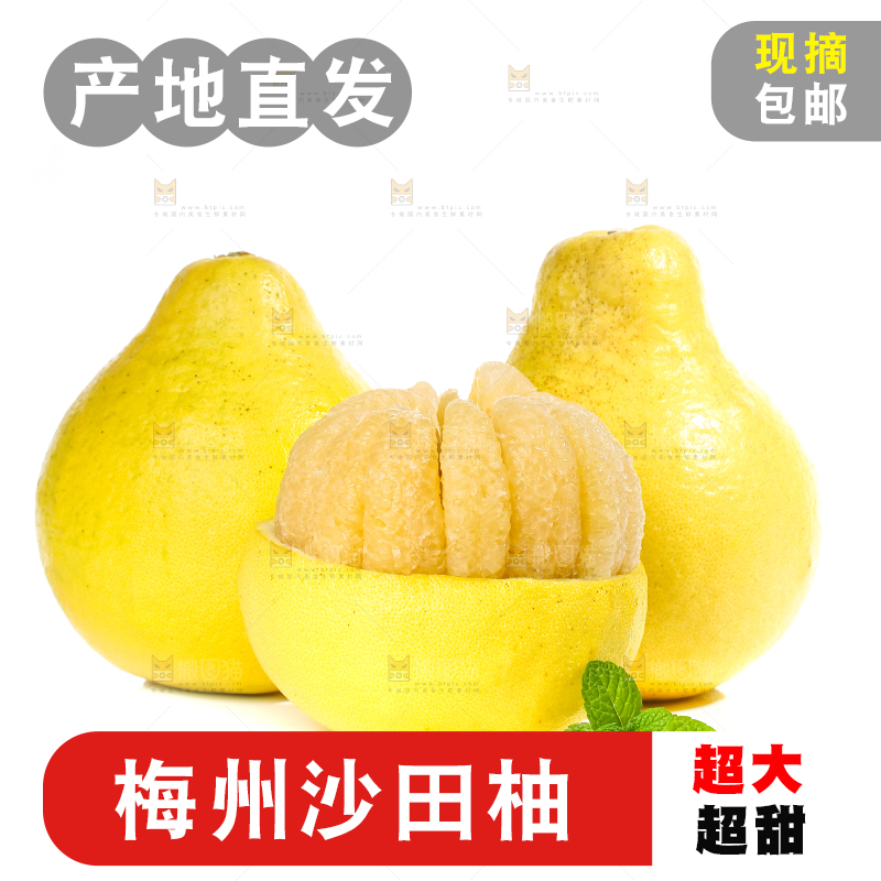 白底上的沙田柚