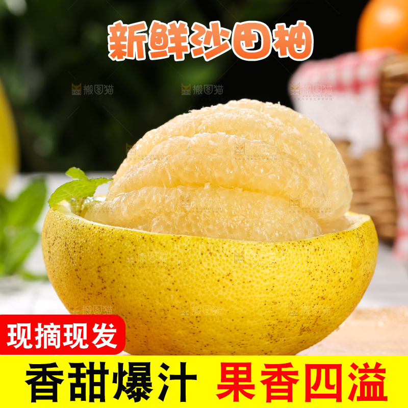 浅底上的沙田柚