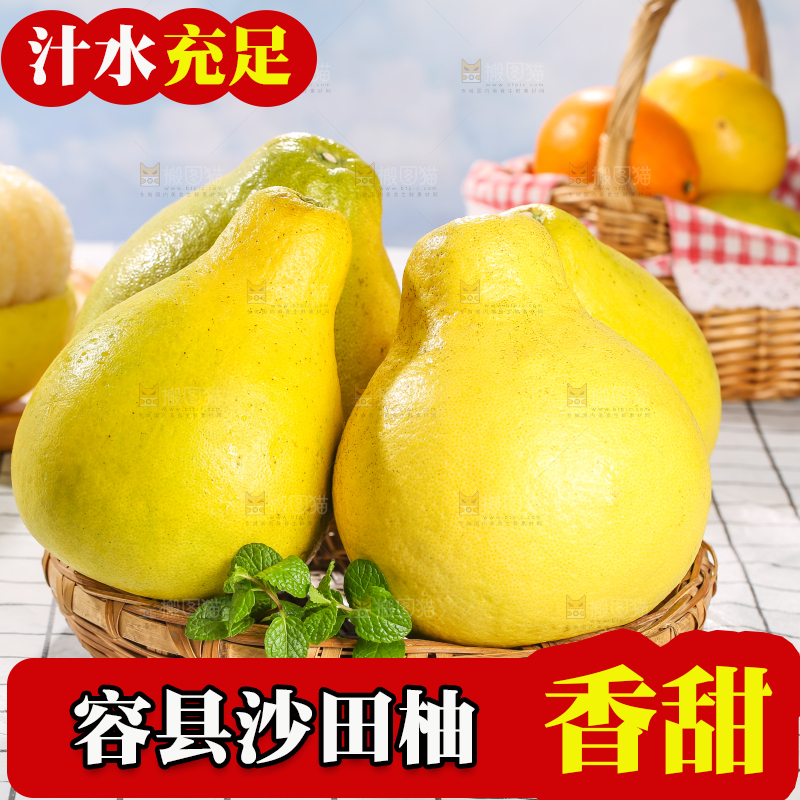沙田柚主图