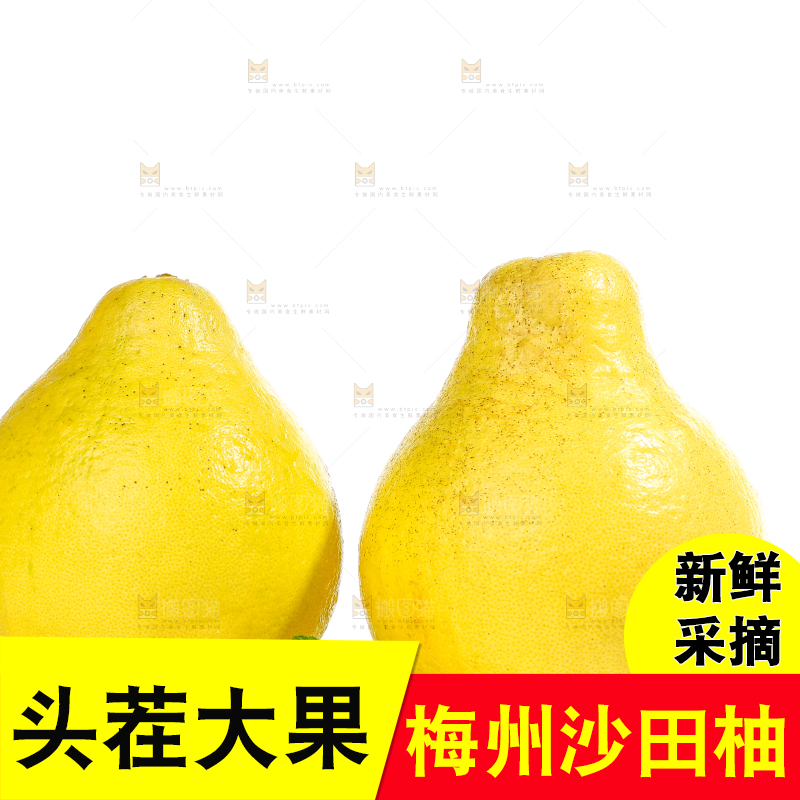 白底上的沙田柚