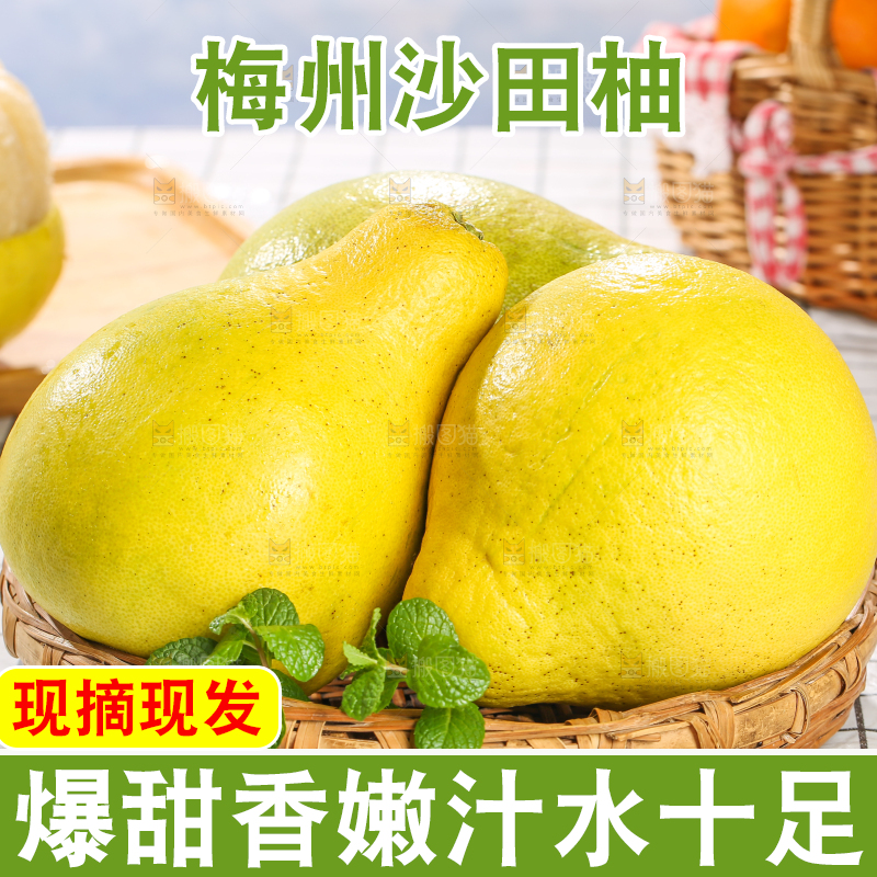 浅底上的沙田柚