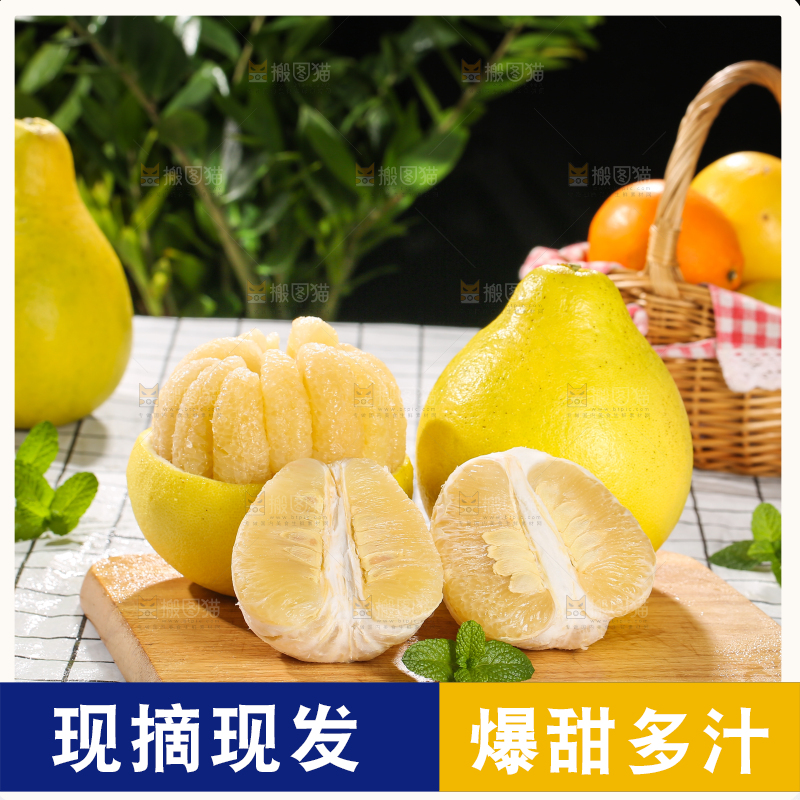 浅底上的沙田柚