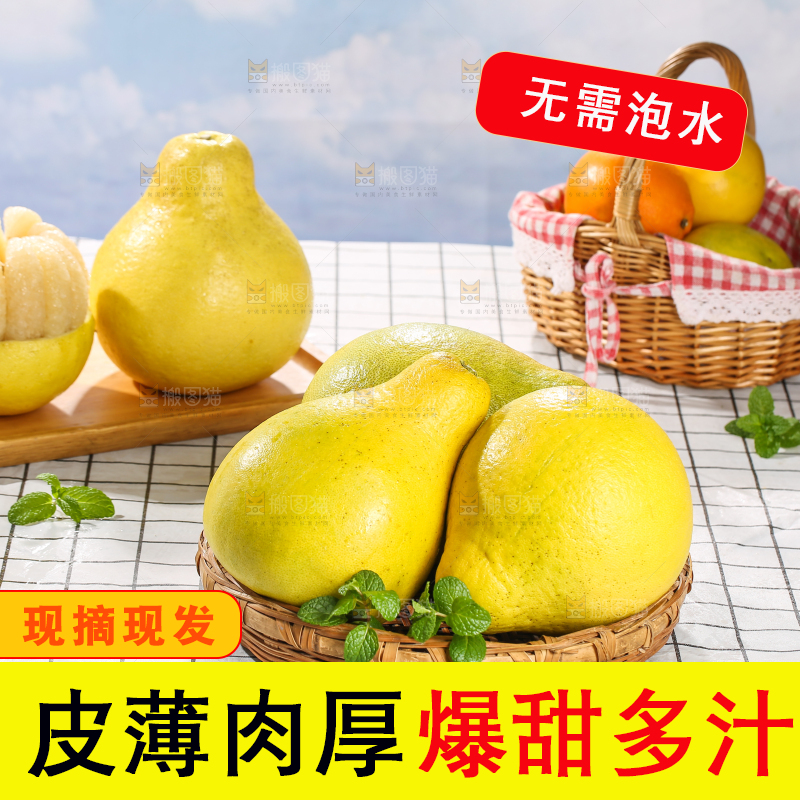 浅底上的沙田柚