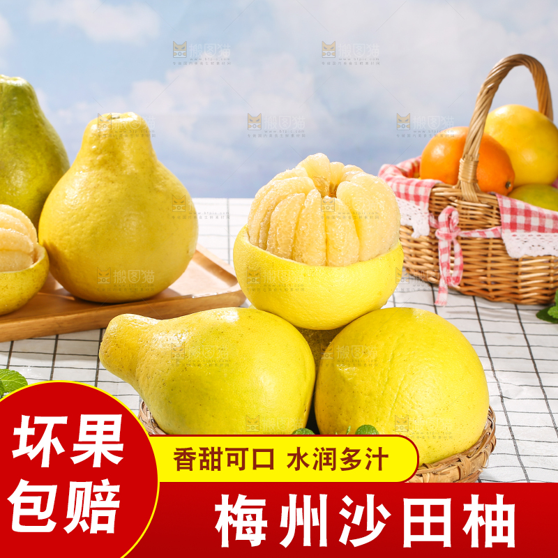 浅底上的沙田柚