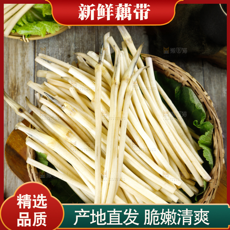 深底上的藕带