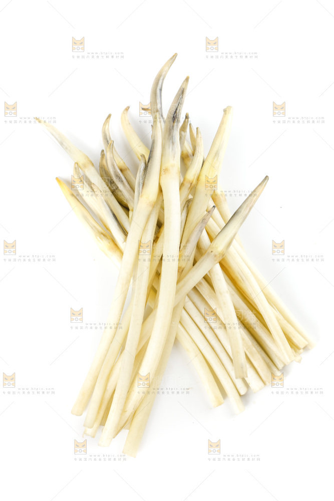 白底上的新鲜藕带