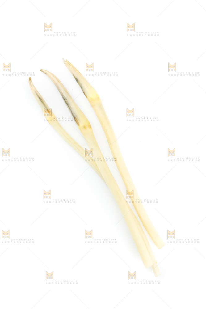 白底上的新鲜藕带