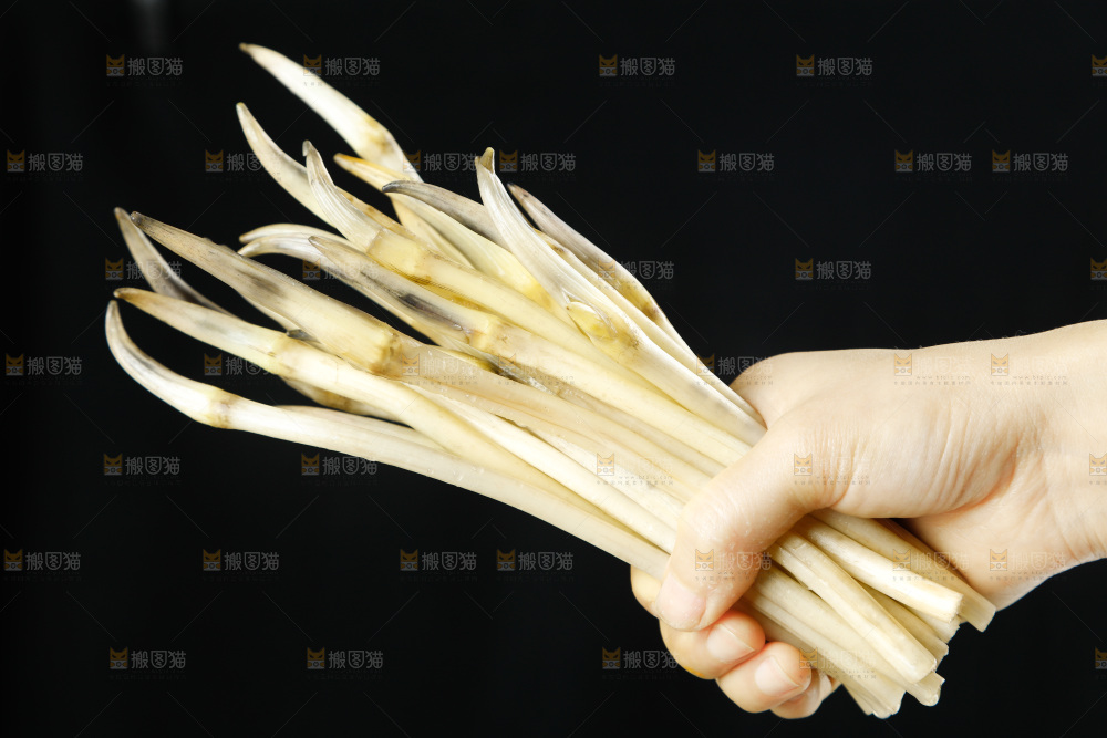 深底上的藕带