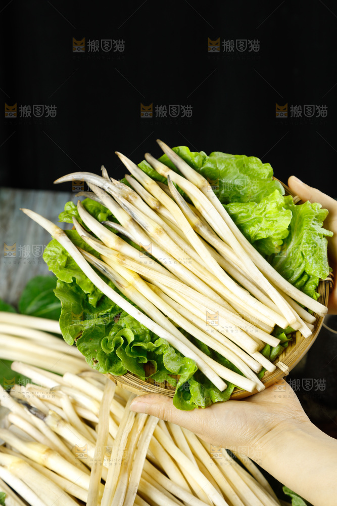 深底上的藕带