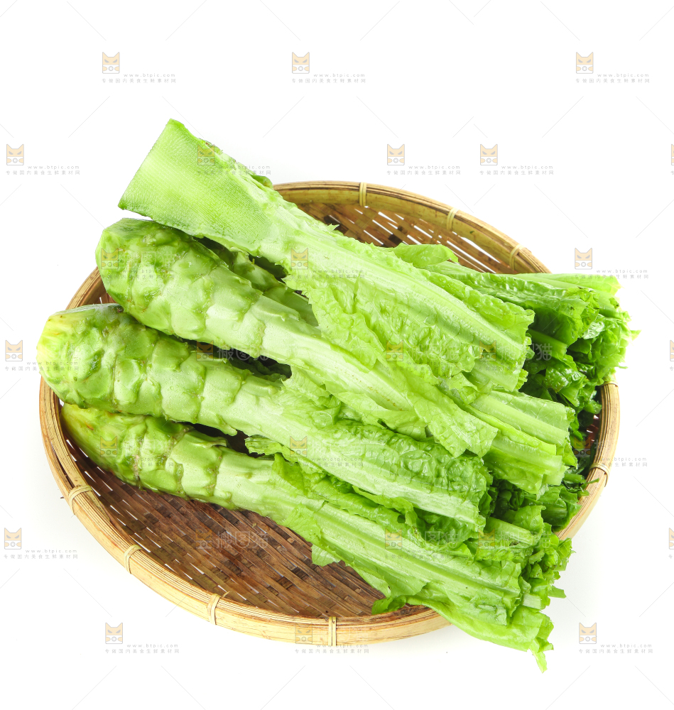 白底上的新鲜莴笋