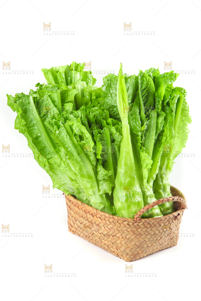白底上的新鲜莴笋