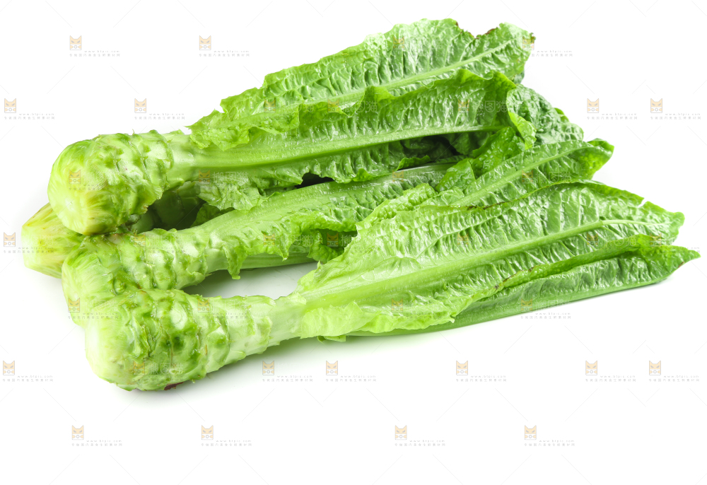 白底上的新鲜莴笋