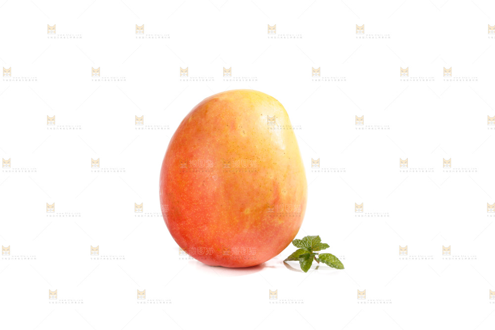 白底上的澳芒