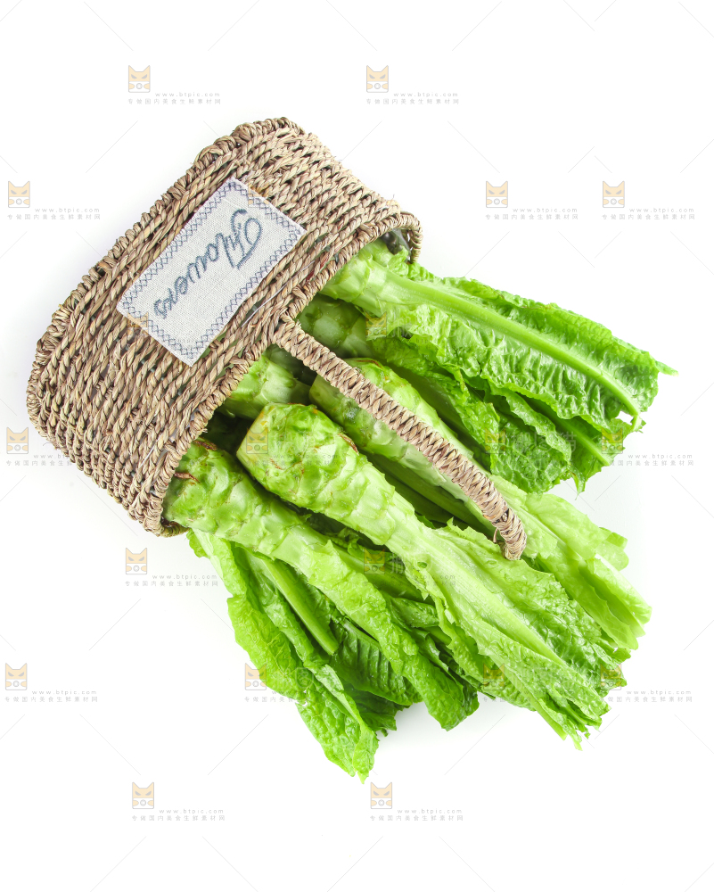 白底上的新鲜莴笋