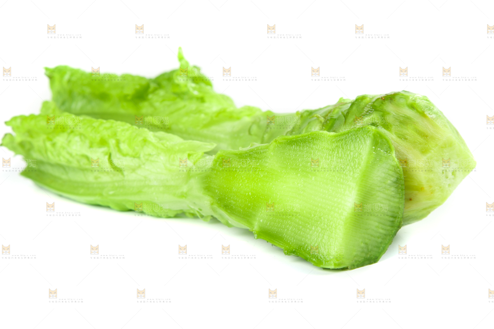 白底上的新鲜莴笋
