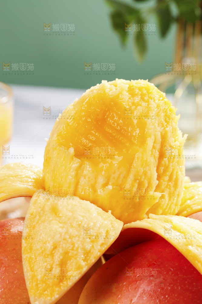 浅底上的澳芒
