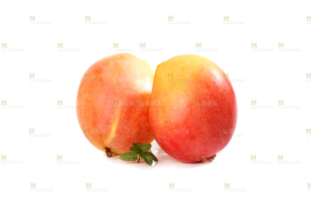 白底上的澳芒