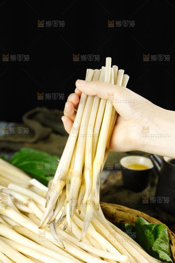 深底上的藕带