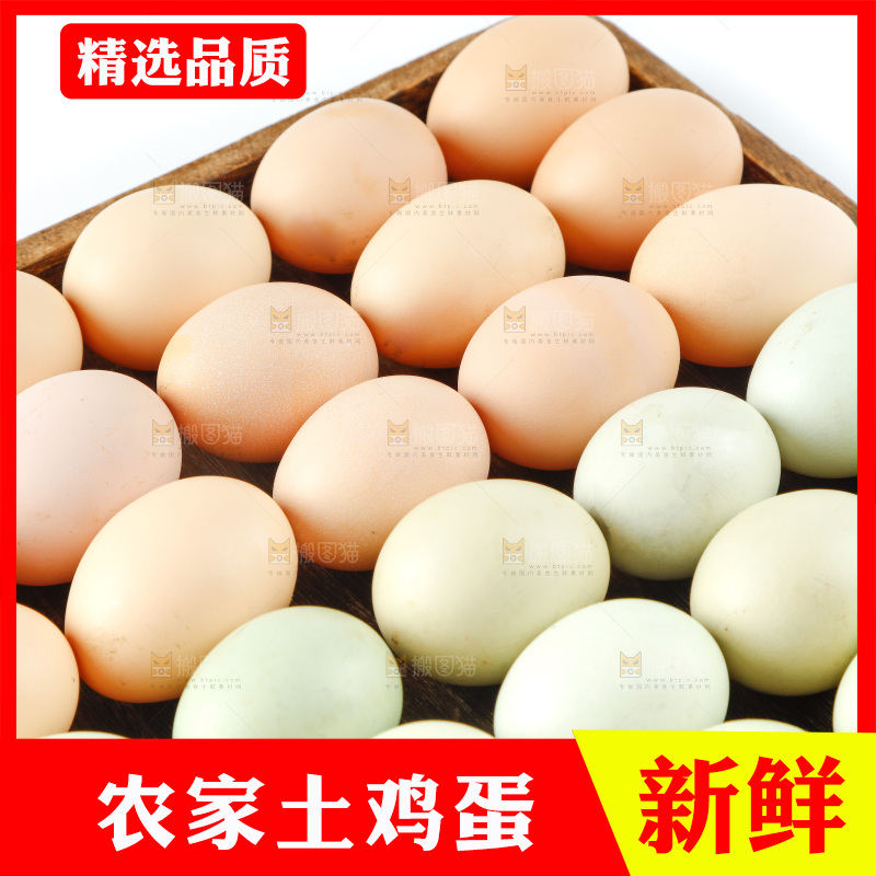 白底上的土鸡蛋
