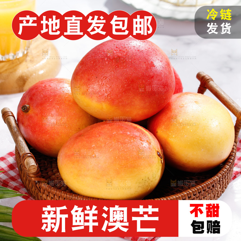 浅底上的澳芒