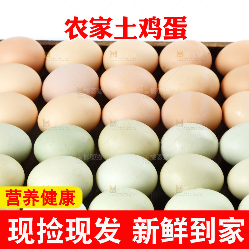白底上的土鸡蛋