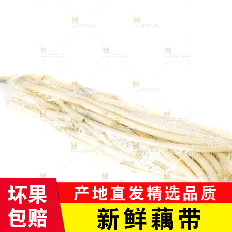 白底上的新鲜藕带