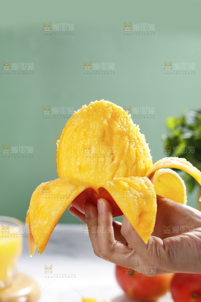 浅底上的澳芒