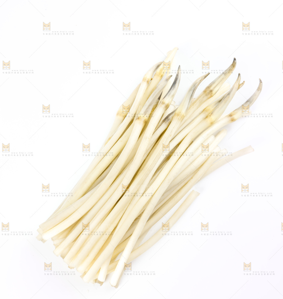 白底上的新鲜藕带