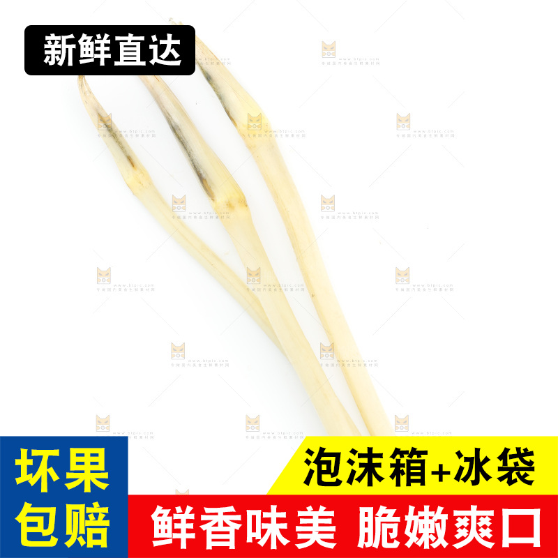 白底上的新鲜藕带