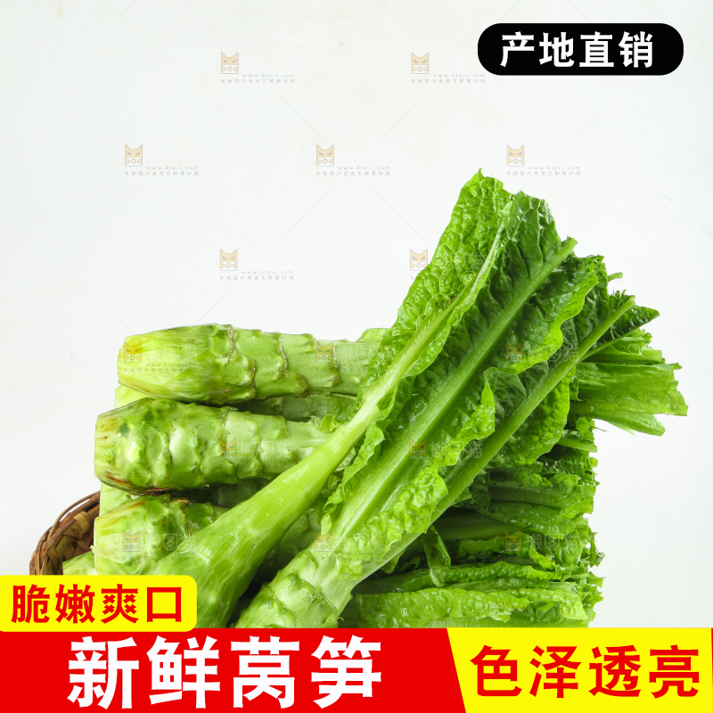 白底上的新鲜莴笋