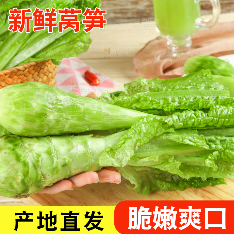 浅底上的莴笋