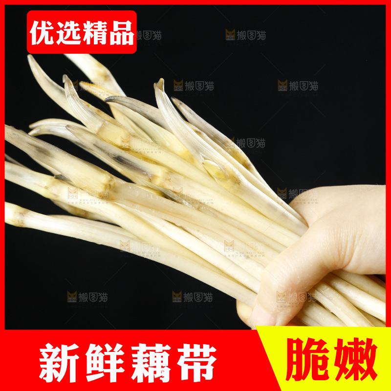 深底上的藕带