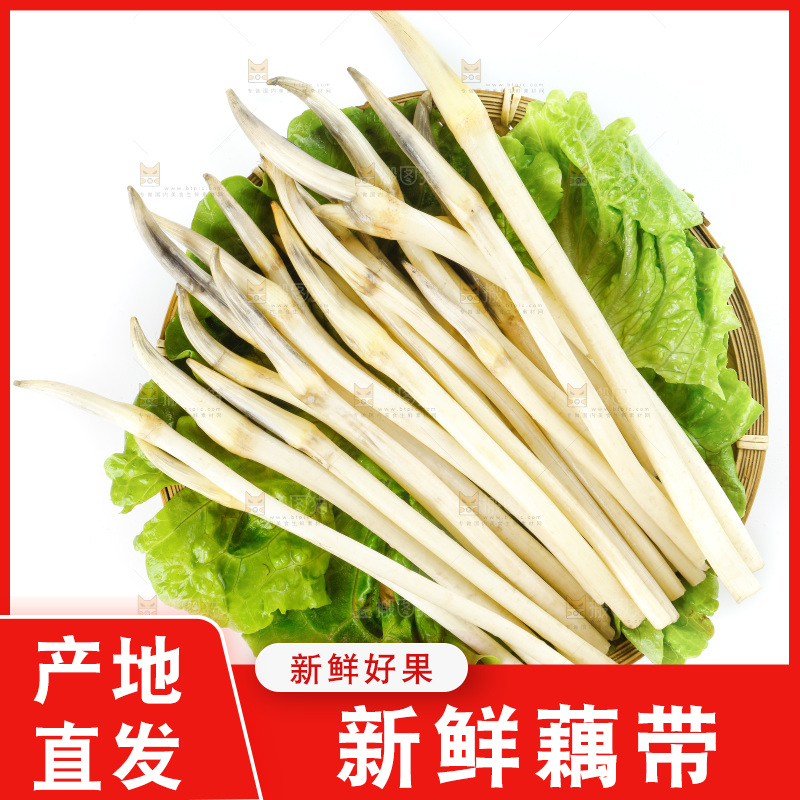 白底上的新鲜藕带