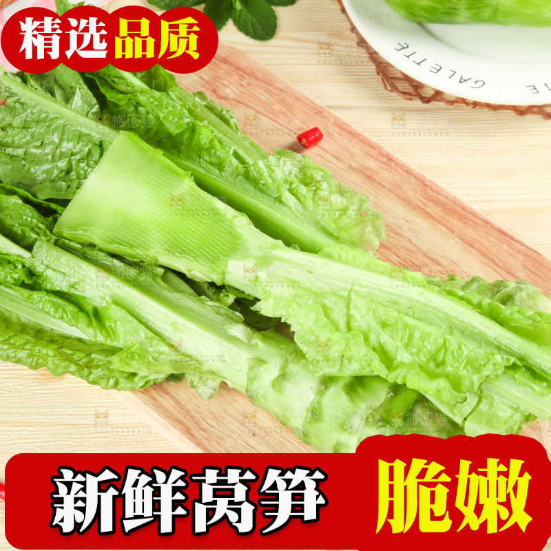 浅底上的莴笋