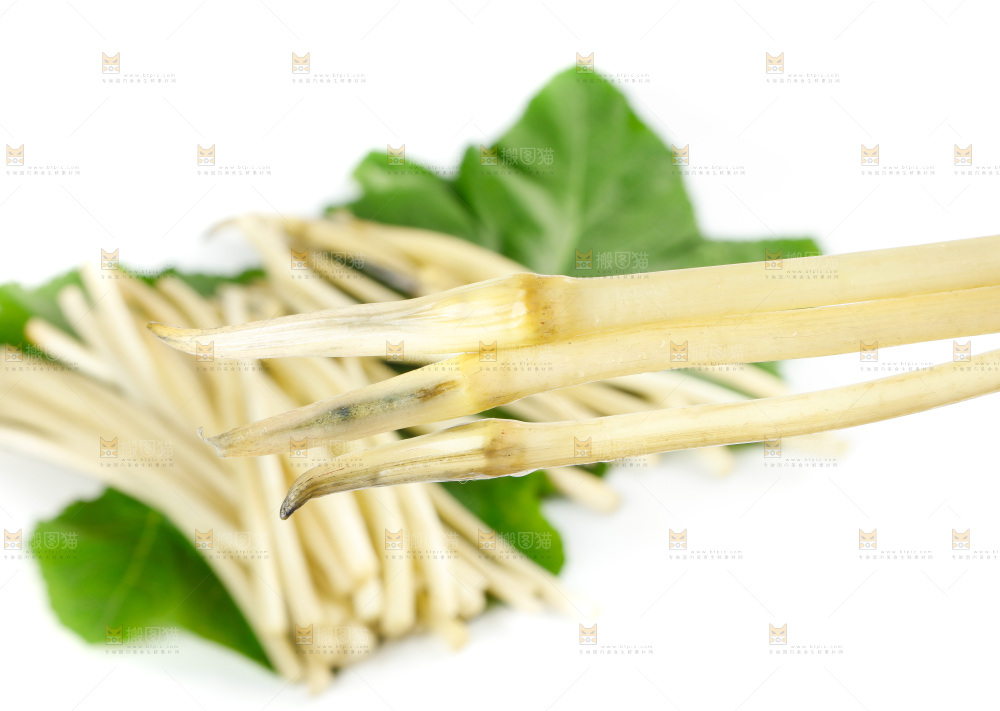 白底上的新鲜藕带
