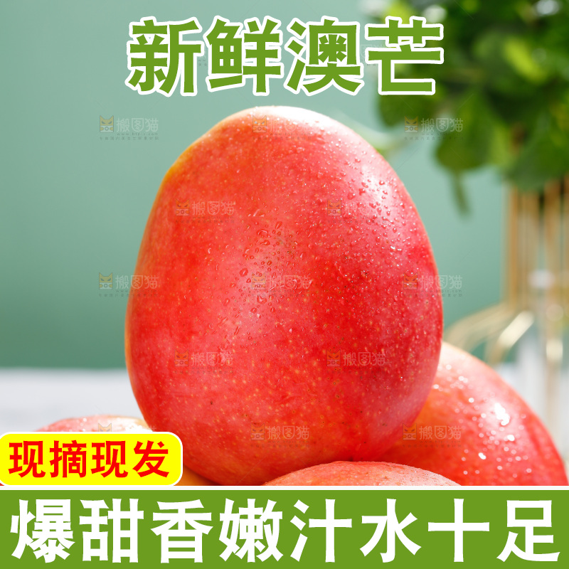 浅底上的澳芒