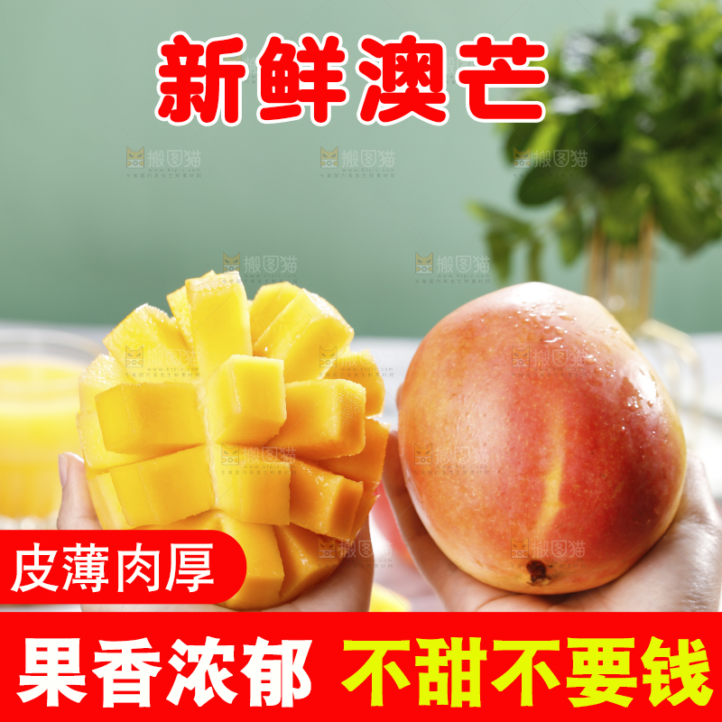 浅底上的澳芒