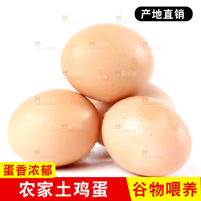 白底上的土鸡蛋