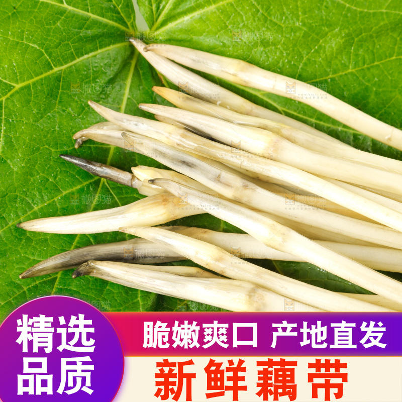 白底上的新鲜藕带