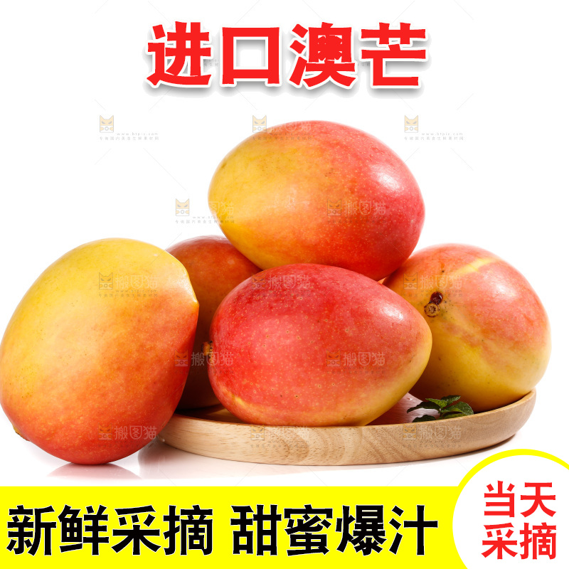 白底上的澳芒