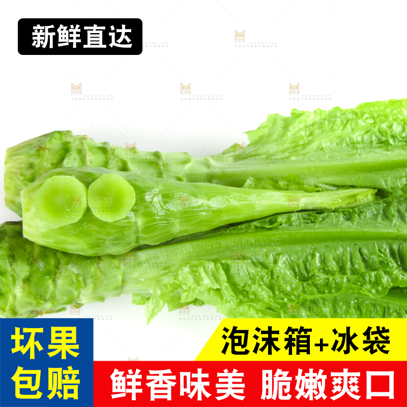白底上的新鲜莴笋