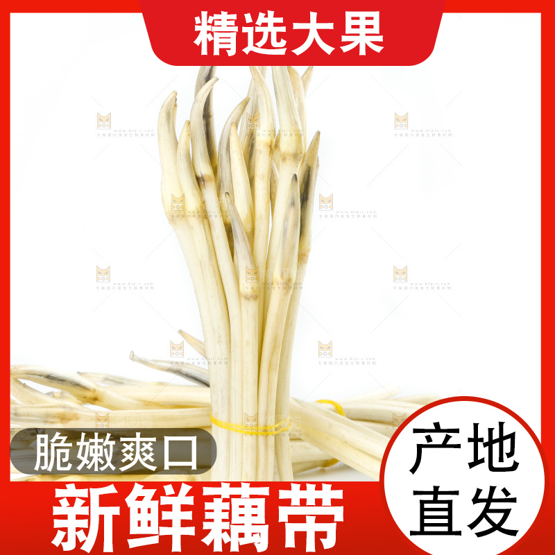 白底上的新鲜藕带