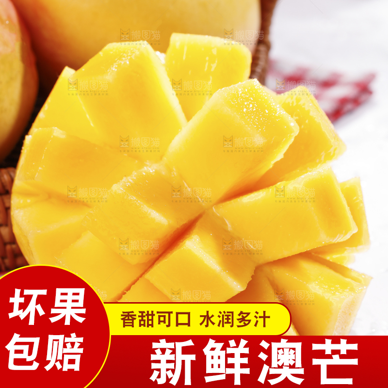 浅底上的澳芒