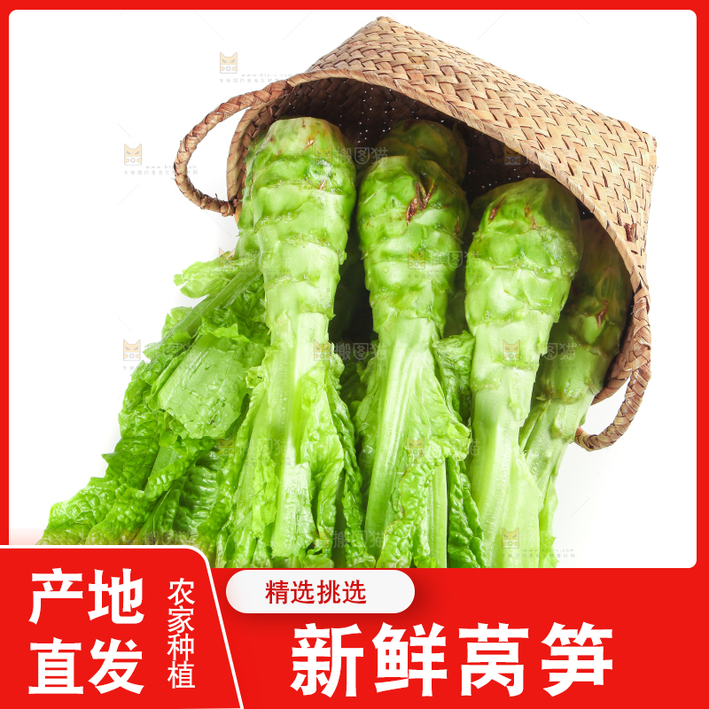 白底上的新鲜莴笋