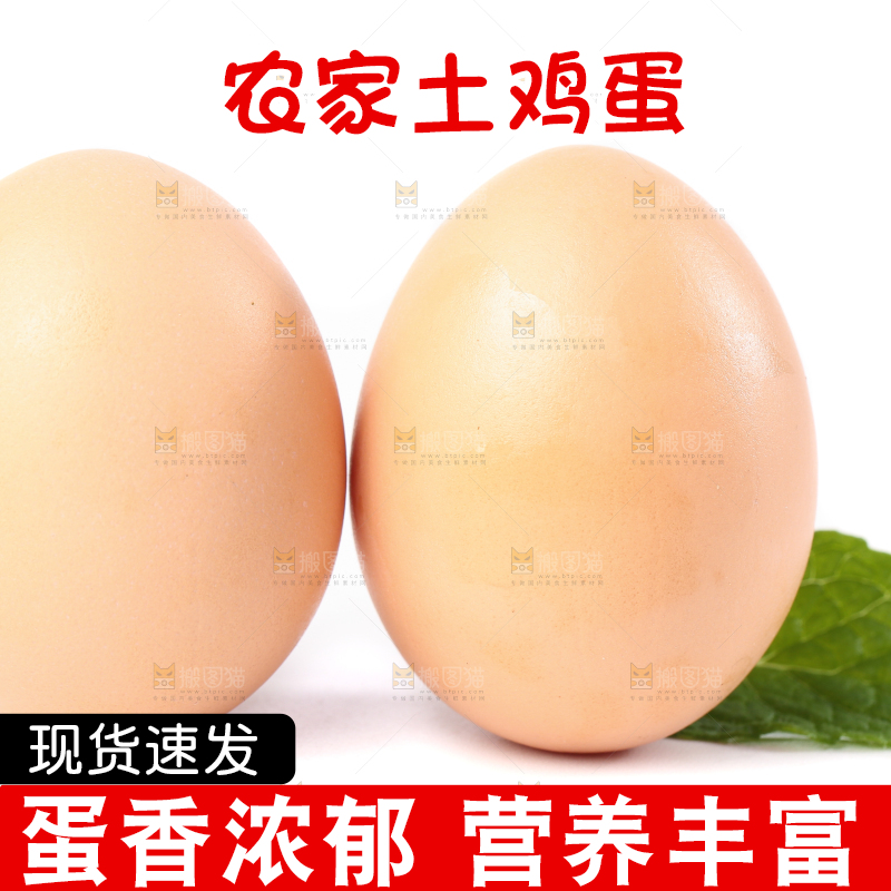白底上的土鸡蛋