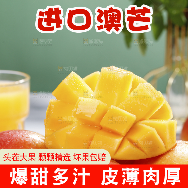 浅底上的澳芒