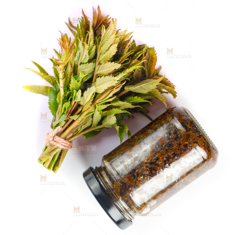 白底上的香椿酱